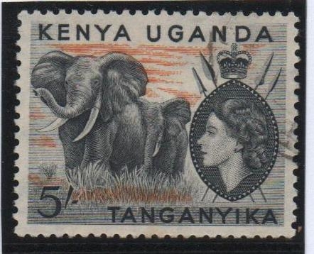 Isabel II, Loxodonta africana