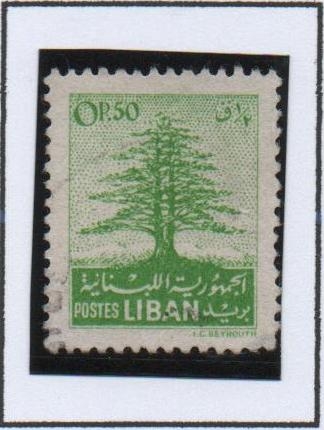 Cedro d' Libano