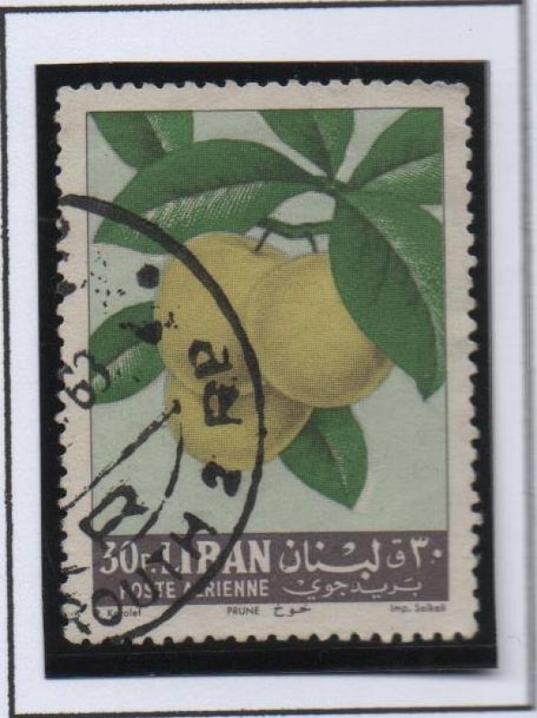 Manzanas amarillas. Prunus domestica