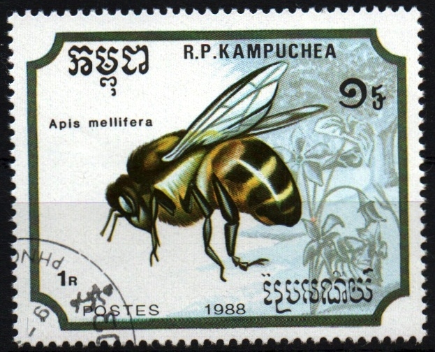 Abeja