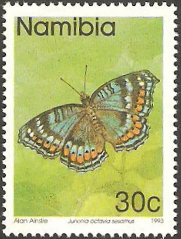 mariposa