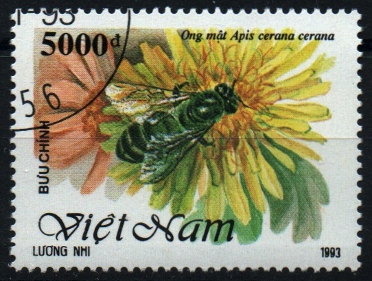 serie- Abejas