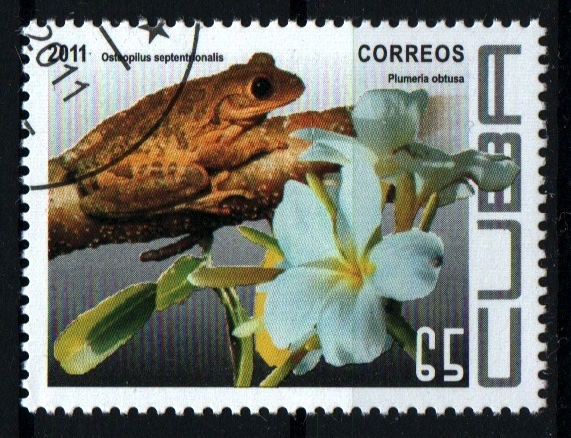 Flora y fauna