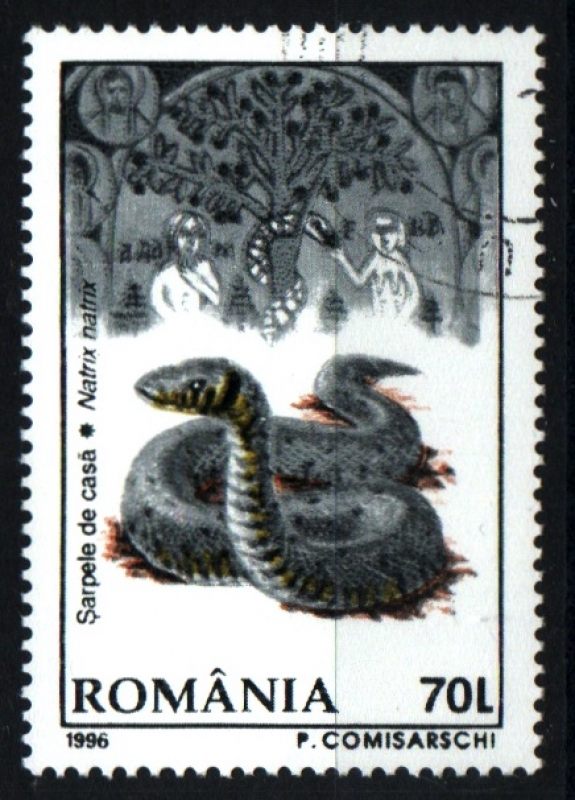 serie- Fauna rumana