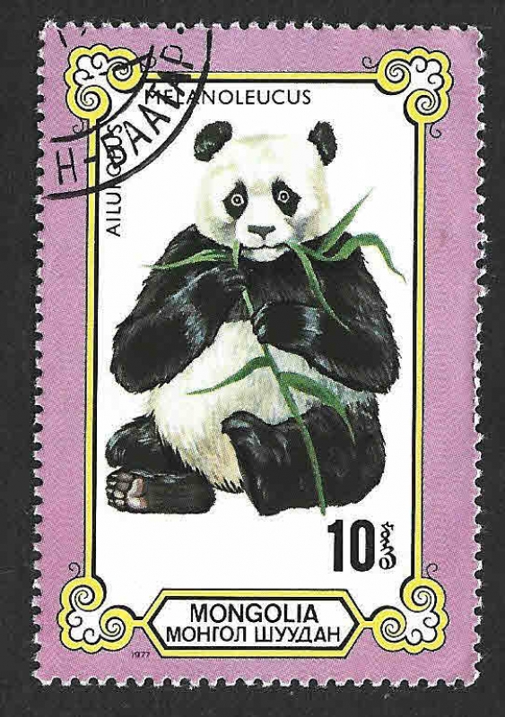 989 - Panda Gigante