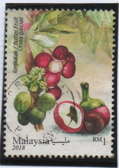 	Fruta de la mantequilla