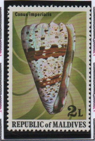 Cono Imperial