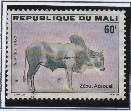 Zebu Azaouak