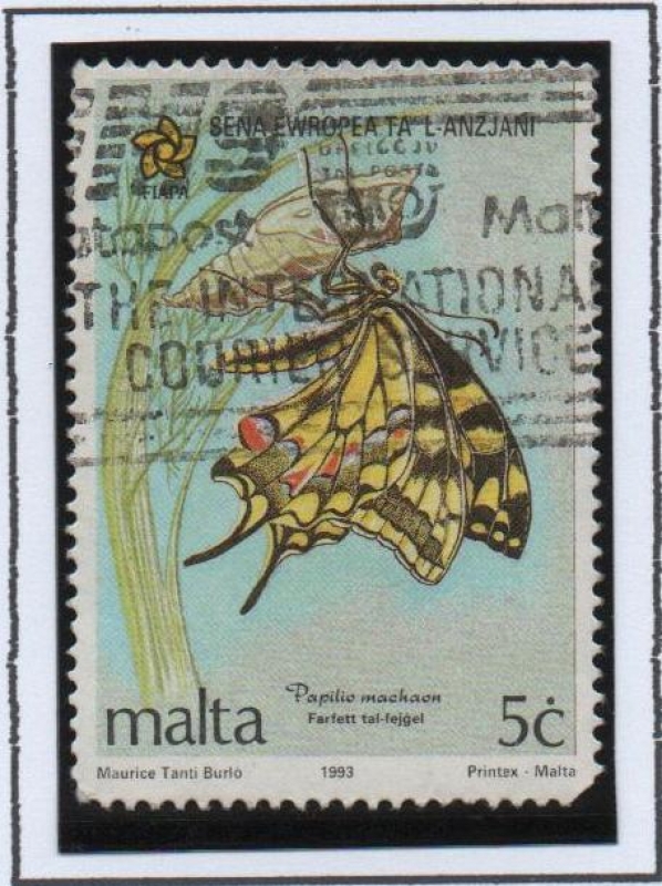 Mariposas, Papilio machaon