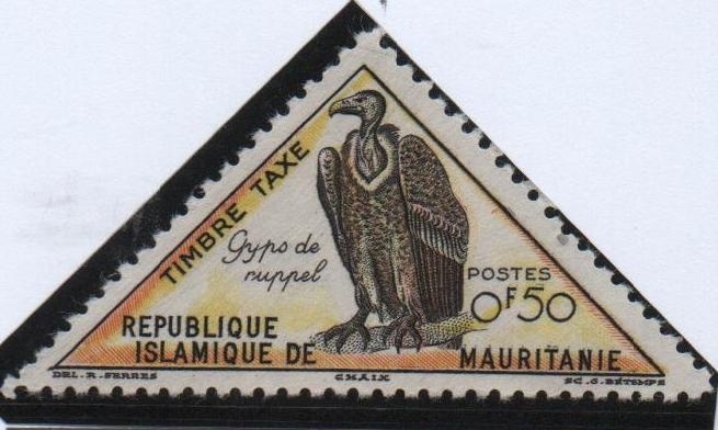 Buitre, Griffon d' Ruppell