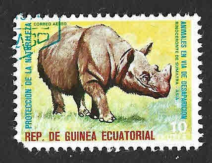 74-202 - Rinoceronte