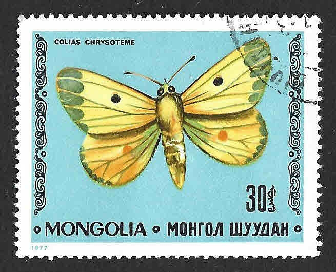 984 - Colias Común