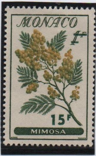 Adormidera