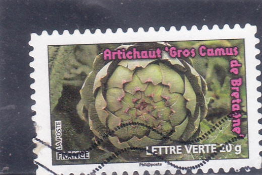 alcachofa
