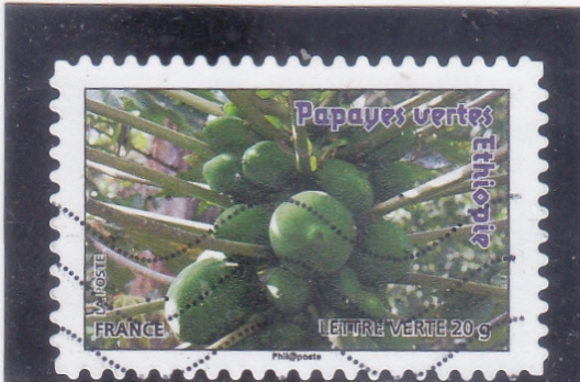 papayas verdes