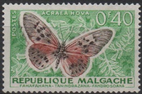 Mariposa