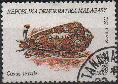 Moluscos, Conus textil