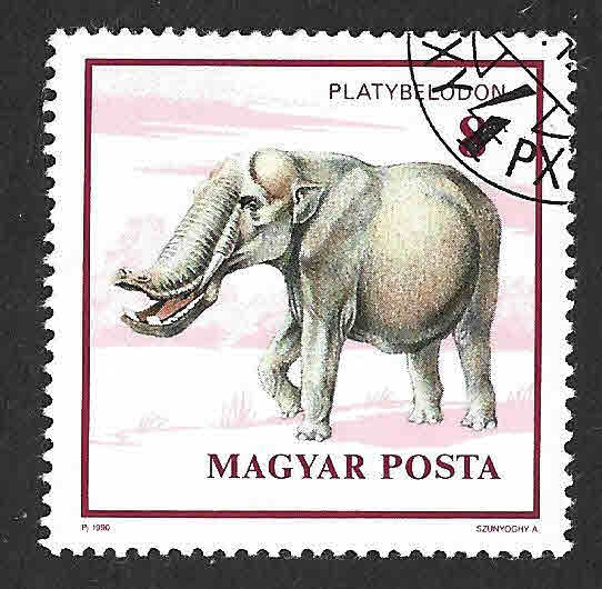 3267 - Platybelodon