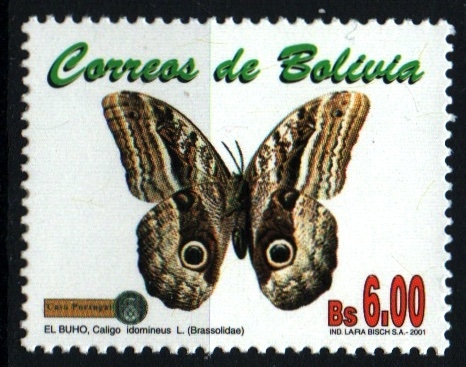 serie- Mariposas