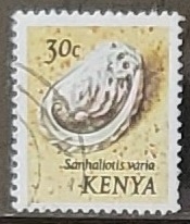 caracoles - Sanhaliotis varia