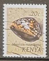 caracoles - Mauritia mauritania