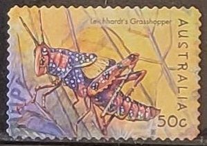 Insectos - Leichhardt's Grasshopper