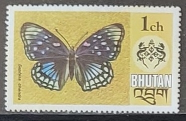 Mariposas -Sephisa chandra