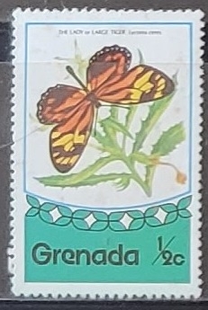 Mariposas - Lycorea ceres)