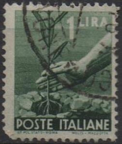 Plantación d' Arboles