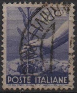 Plantación d' Arboles