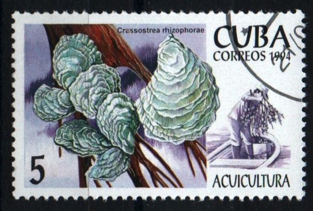 Acuicultura