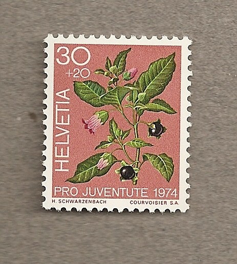 Pro juventute 1974