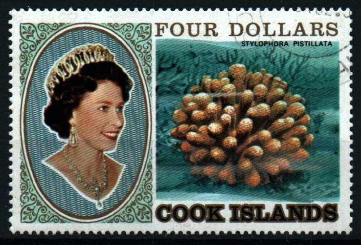 Isabel II- Corales