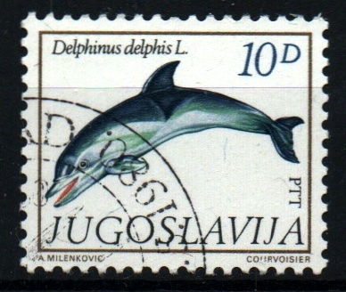 serie- Fauna Mediterráneo