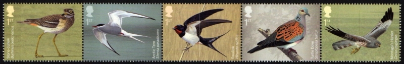 Aves migratorias de G.B.
