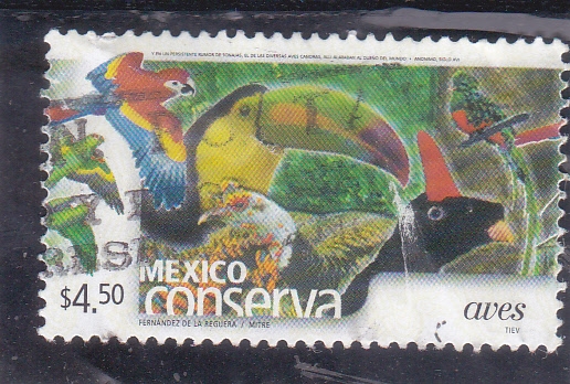 conservación de las aves