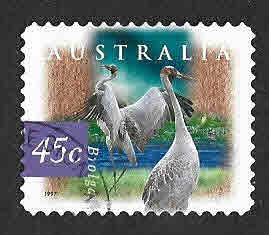 1531 - Grulla Australiana