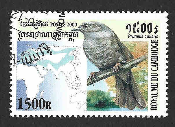 2035 - Acentor Alpino