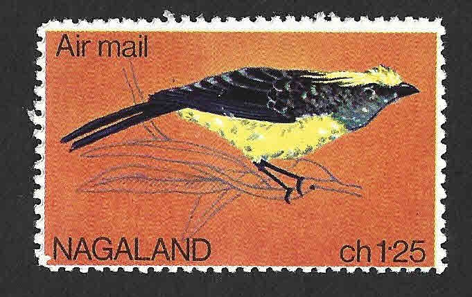 (C) Pájaro (NAGALAND)