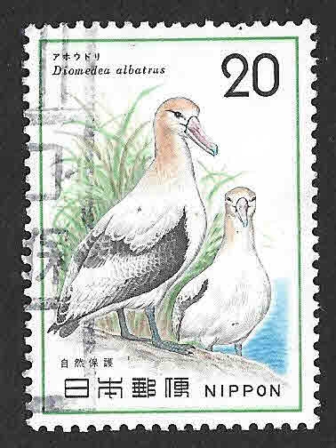 1199 - Albatros
