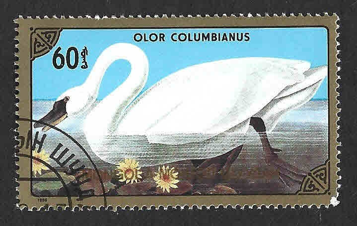 1550 - Cisne Silbador de la Tundra	