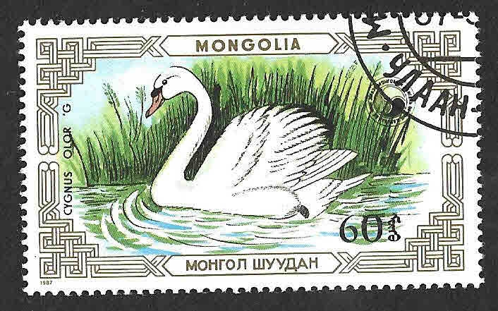 1610 - Cisne Común