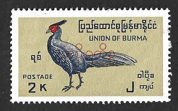 O114 - Faisán Kalij (BIRMANIA-UNION DE BURMA)