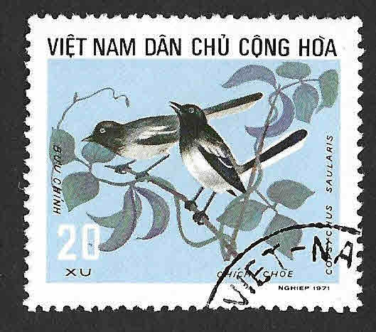 704 - Shama Oriental (VIETNAM DEL NORTE)