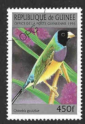 1372 - Diamante de Gould ​