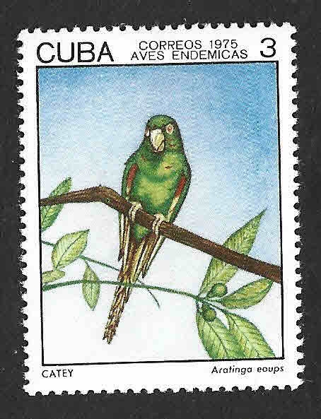1984 - Periquito Cubano
