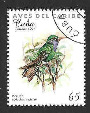 3853 - Colibrí