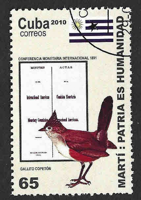 5131 - Gallito Copetón