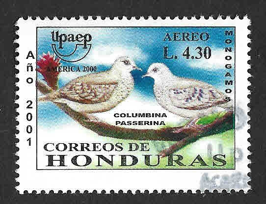 C109 - Tortolita Azul