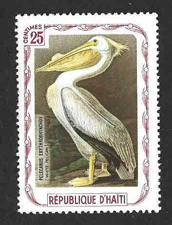 (C) Pelicano Blanco Americano
